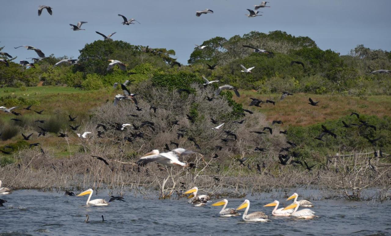 De Hoop Collection - Equipped Cottages De Hoop Nature Reserve Екстериор снимка